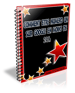Comment être le numéro un sur google en - de 24H